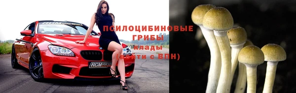 Альфа ПВП Осташков