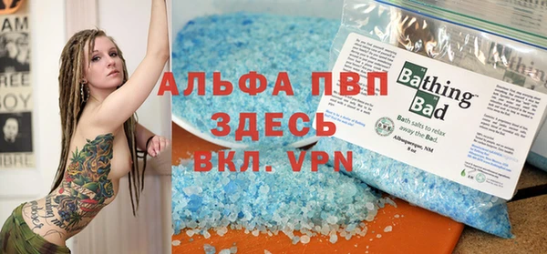 ECSTASY Шали