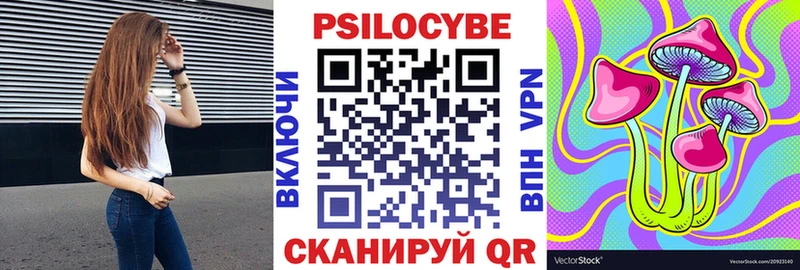 цены наркотик  Судогда  Галлюциногенные грибы GOLDEN TEACHER 